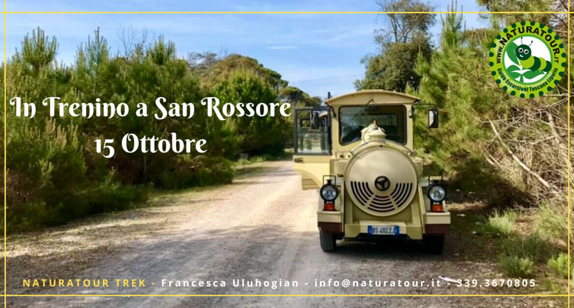 In trenino a San Rossore fino al mare